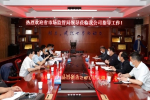 湖北省市場監督管理局領導視察程力汽車集團指導工作